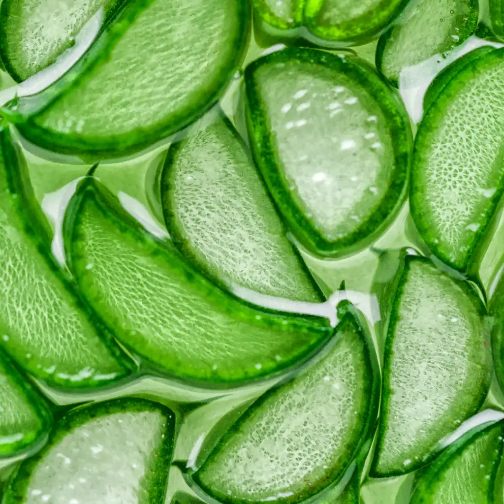 Aloe vera etna wellness