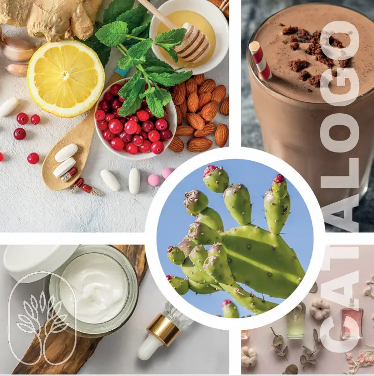 CATALOGO PRODOTTI ETNA WELLNESS 2026