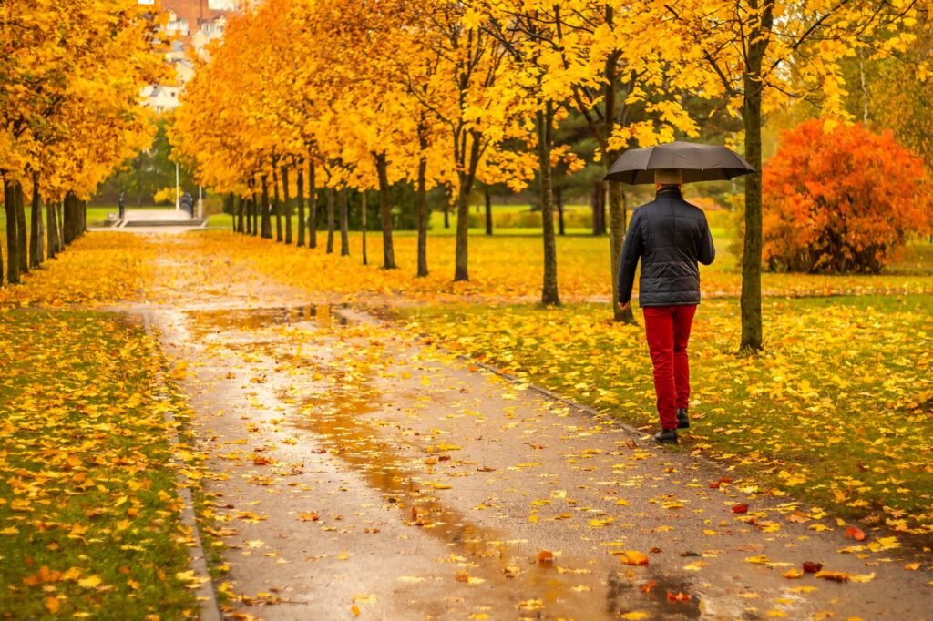Difese immunitarie autunno: guida essenziale per l’inverno