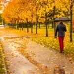 Difese immunitarie autunno: guida essenziale per l’inverno