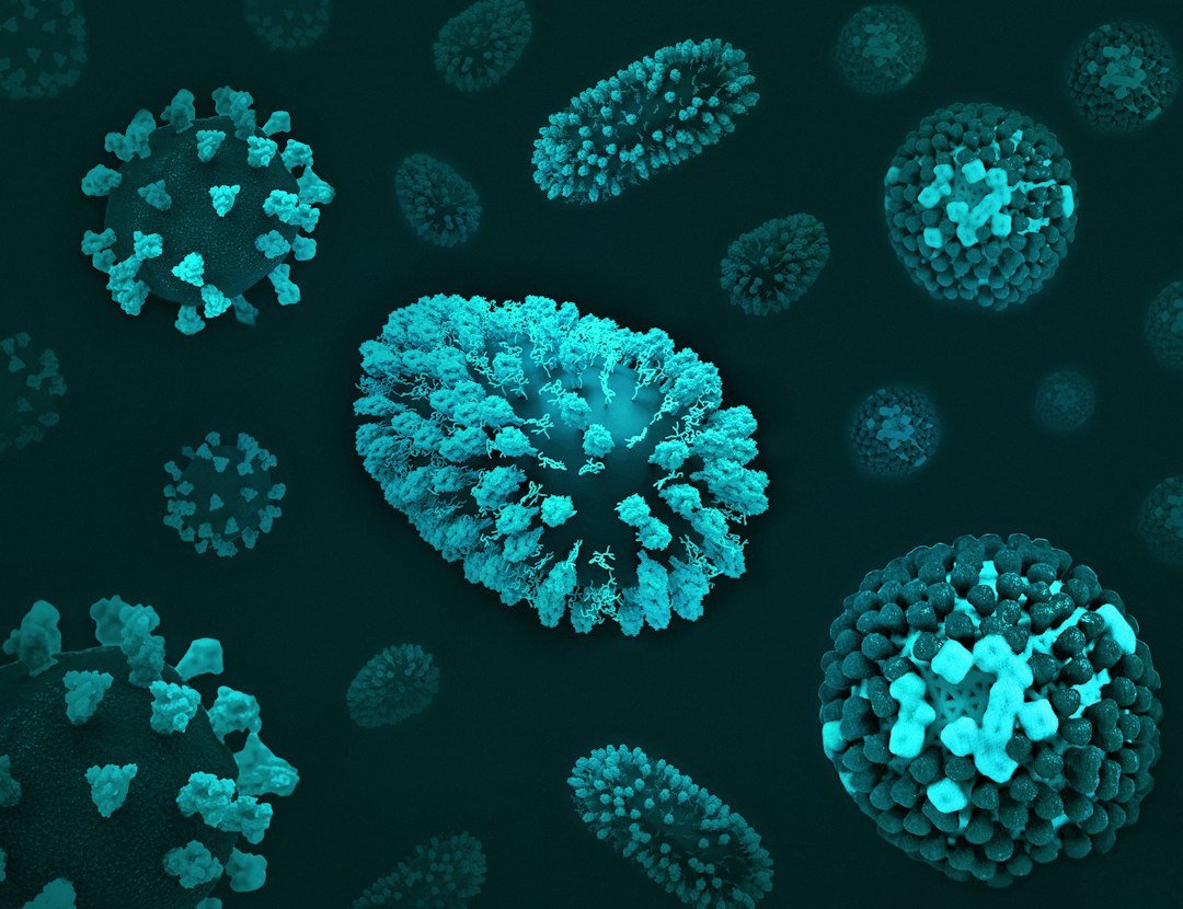 Rappresentazioni 3D di tre virus respiratori: COVID-19, RSV e virus influenzale