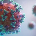 Colostro bovino a cosa serve? 7 segreti che nessuno ti dice